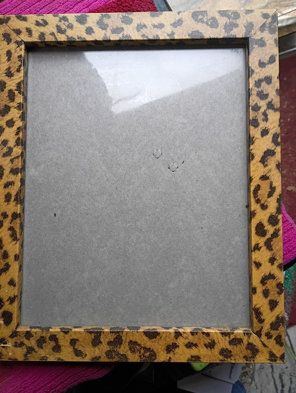A Leopard Picture frame